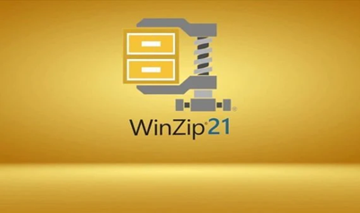 WinZip 21 Standard Version Key (Lifetime / 1 Device)